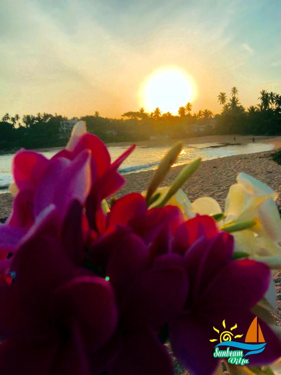Sunbeam Villa Тангалла Экстерьер фото