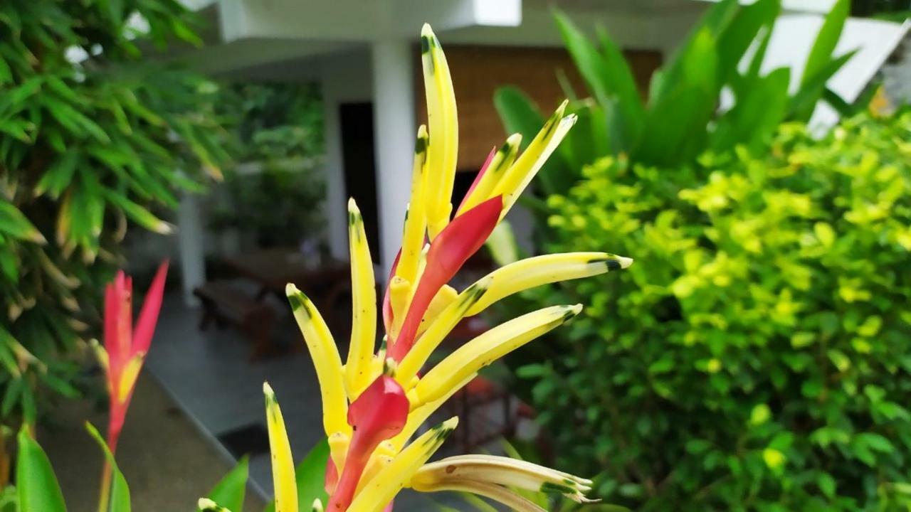 Sunbeam Villa Тангалла Экстерьер фото